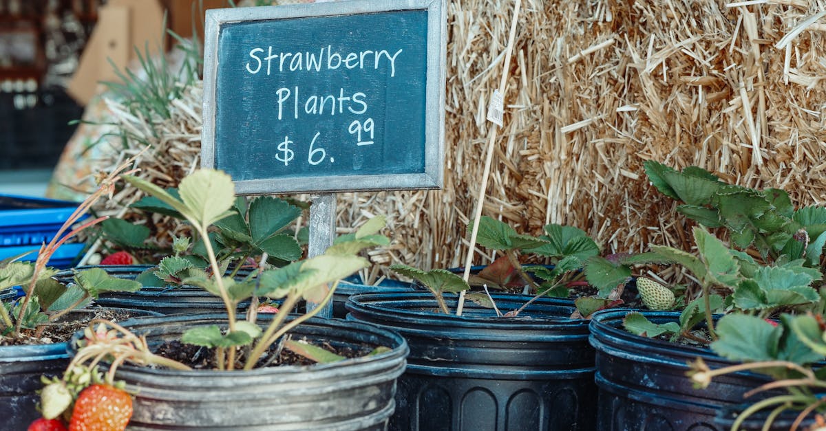 découvrez comment effectuer des calculs de prix de revient pour maîtriser vos coûts, optimiser la gestion de votre entreprise et améliorer votre rentabilité.