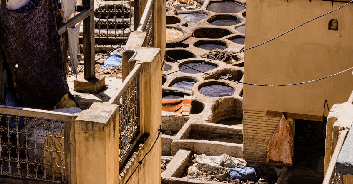 achetez votre voiture sans tva grâce à nos solutions simples et rapides, adaptées aux professionnels et particuliers éligibles.