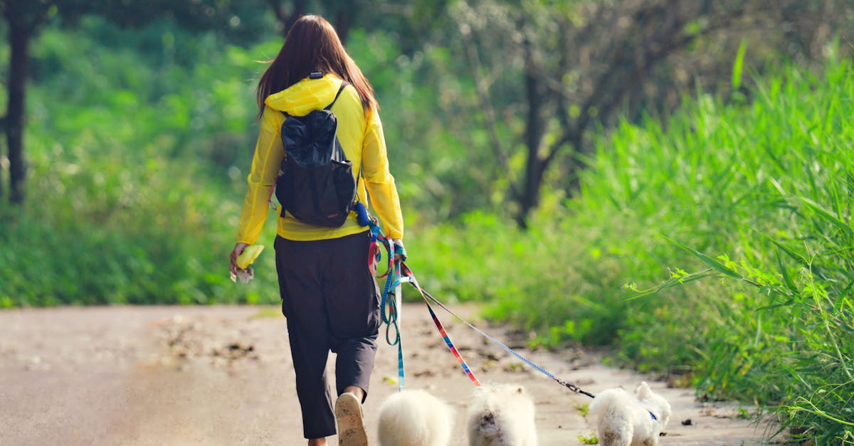 service de pet sitter fiable et attentionné pour prendre soin de vos animaux à domicile ou en promenade. confiez-nous vos compagnons en toute sérénité.