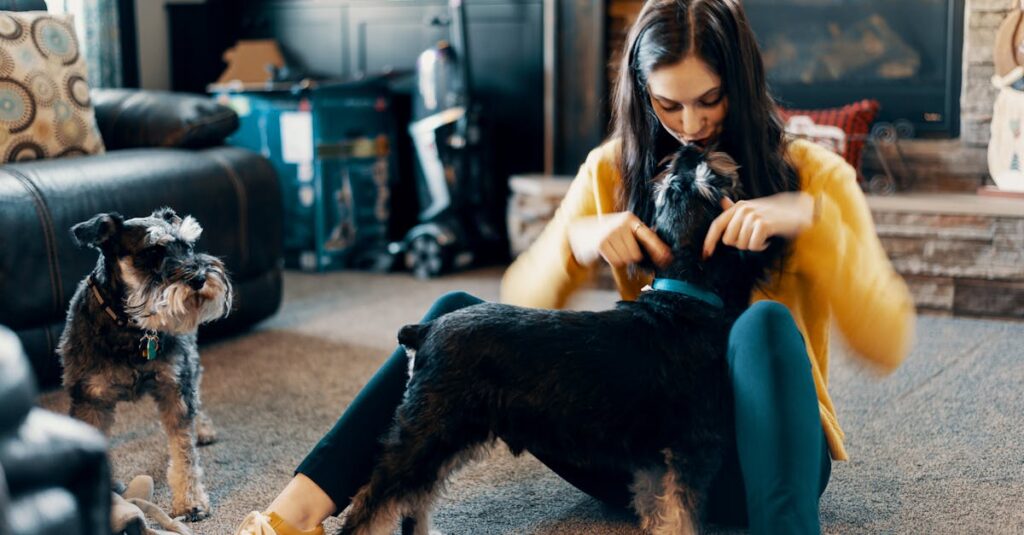 service de pet sitter fiable et attentionné pour prendre soin de vos animaux de compagnie pendant votre absence.
