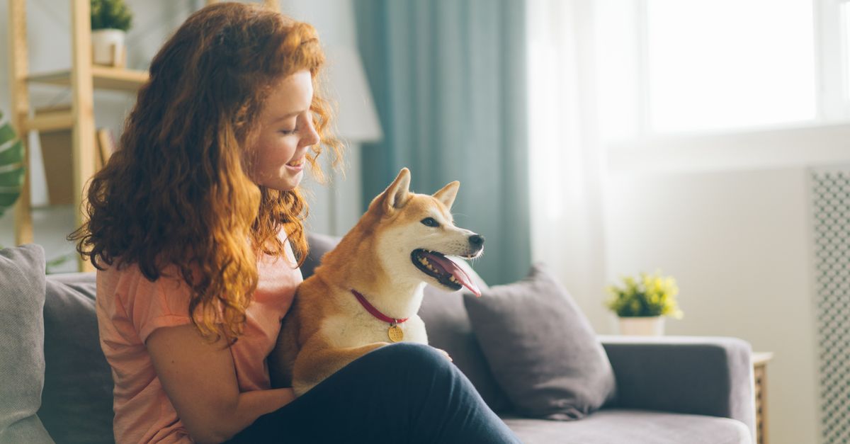 service de pet sitter fiable et attentionné pour garder vos animaux de compagnie en toute sécurité et avec beaucoup d'affection.