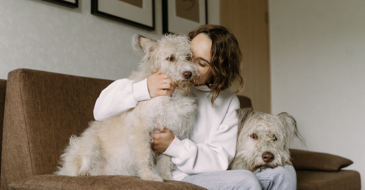 service de pet sitter fiable et attentionné pour garder vos animaux de compagnie en toute sécurité et avec beaucoup d'affection.