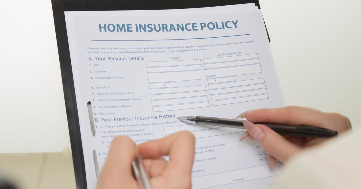 consultez nos conditions générales d'utilisation pour comprendre les règles, droits et responsabilités liés à l'utilisation de notre service.